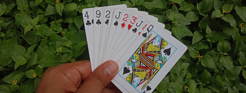gin rummy image more
